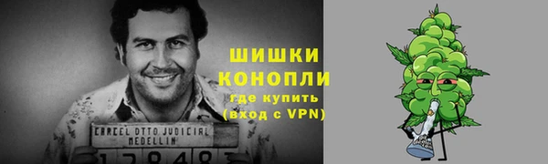трава Арсеньев