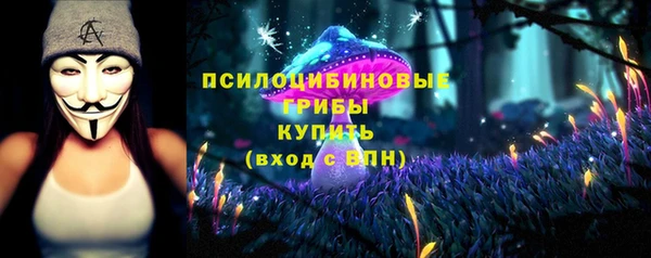 гидропоника Аркадак