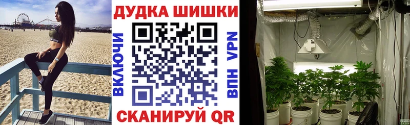 KRAKEN онион Подольск Каннабис Bruce Banner